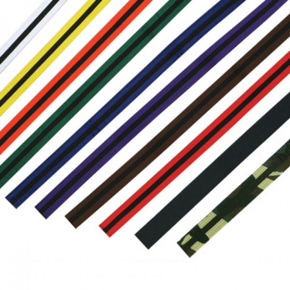 All belts 2025 of karate