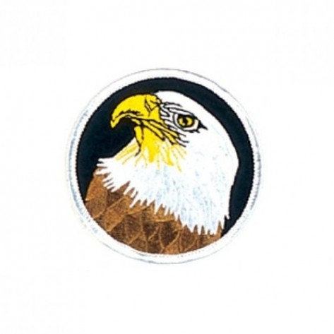 American Star Eagle Martial Arts Patch