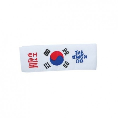 Taekwondo Headband