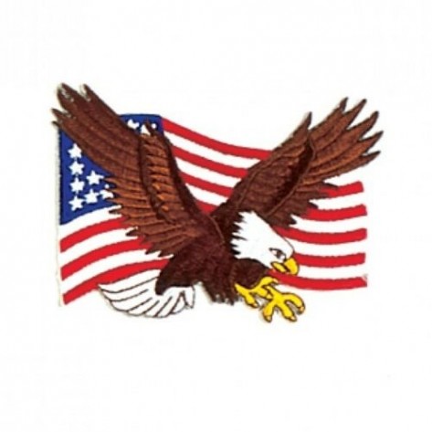 American Eagle Martial Arts Patch