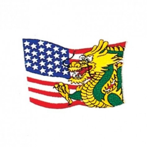 Dragon USA Flag Martial Arts Patch
