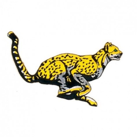 Leopard Martial Arts Patch