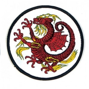 Dragon Martial Arts Patch