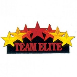 Team Elite Martial Arts Patch